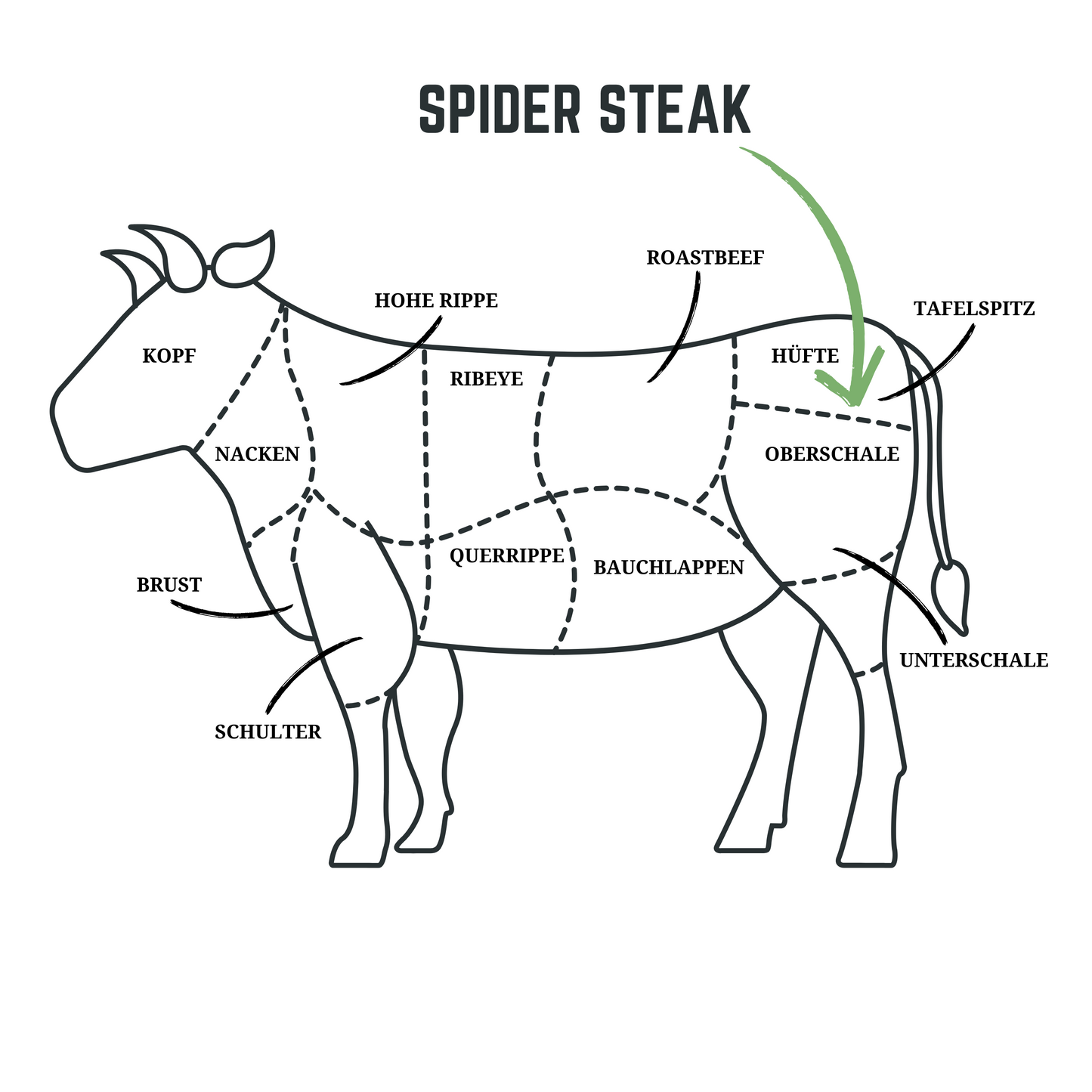 SPIDER STEAK